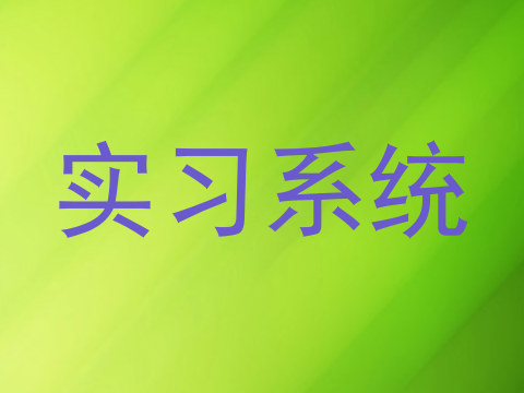 实习系统