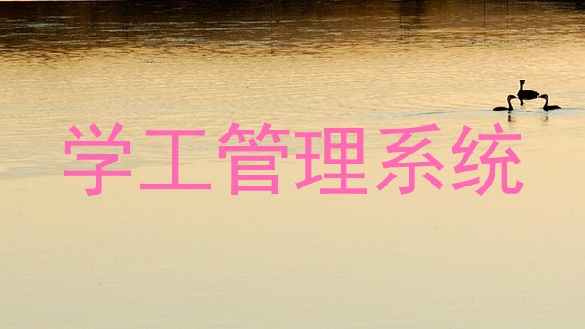 学工管理系统