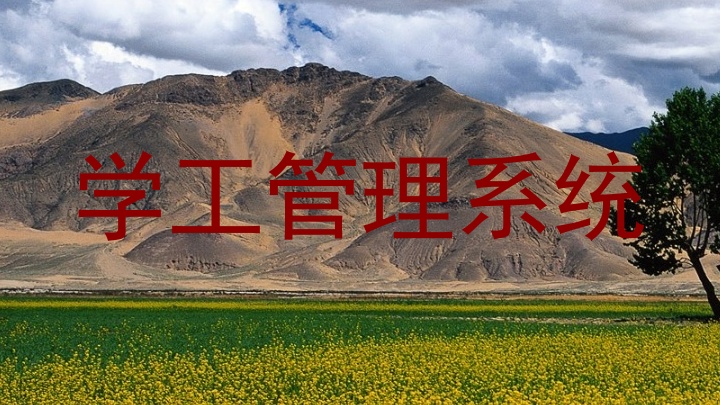 学工管理系统