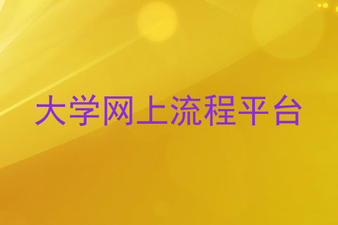 大学网上流程平台