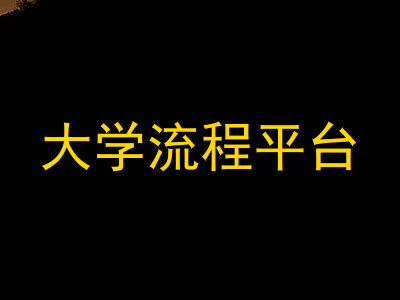 大学流程平台
