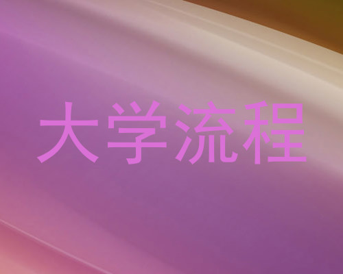 大学流程