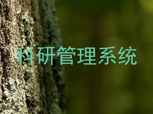 科研管理系统
