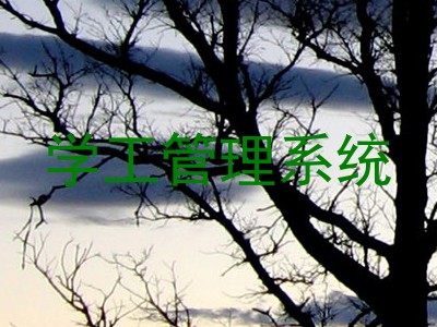 学工管理系统