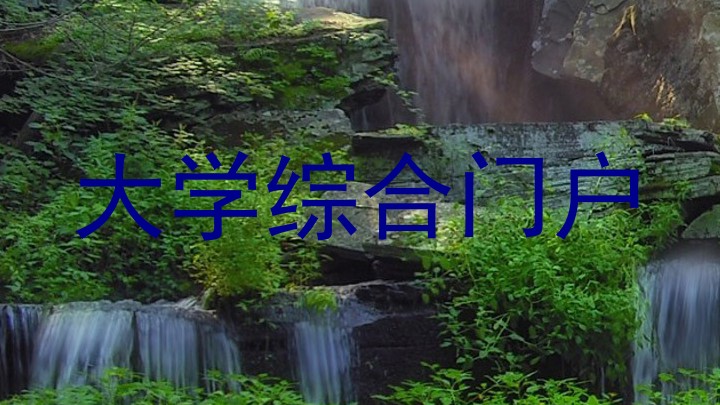 大学综合门户
