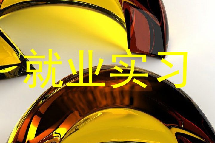 就业实习