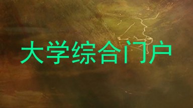 大学综合门户