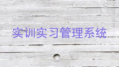 实训实习管理系统