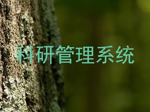 科研管理系统