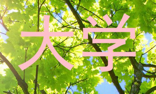 大学