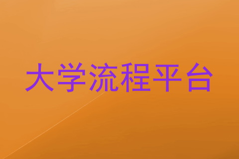 大学流程平台
