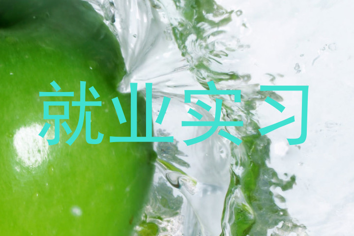 就业实习