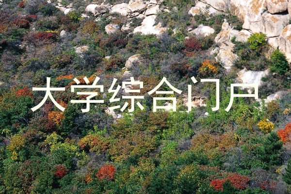 大学综合门户