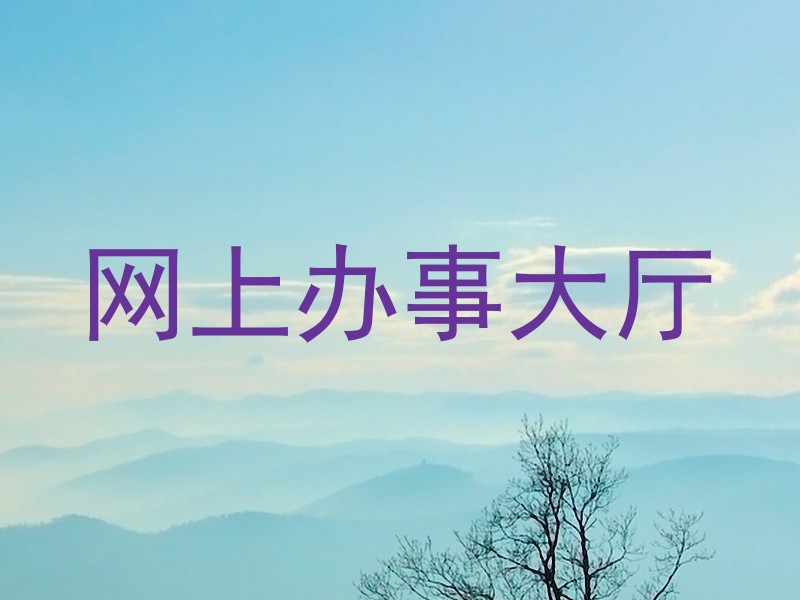 网上办事大厅