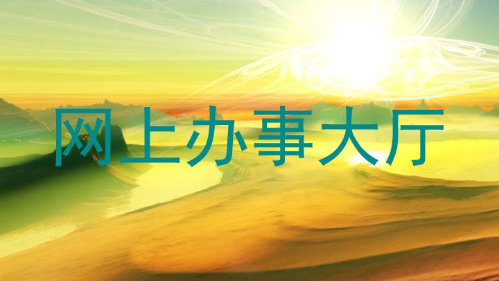 网上办事大厅