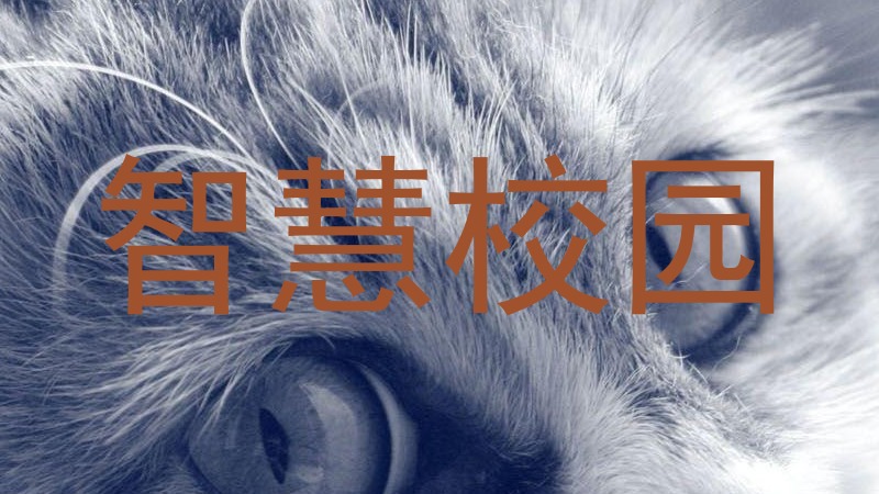 智慧校园