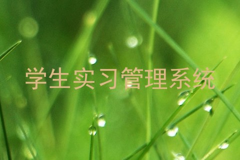 学生实习管理系统