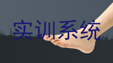 实训系统