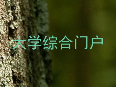 大学综合门户
