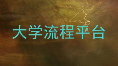 大学流程平台