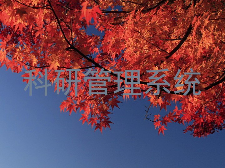 科研管理系统