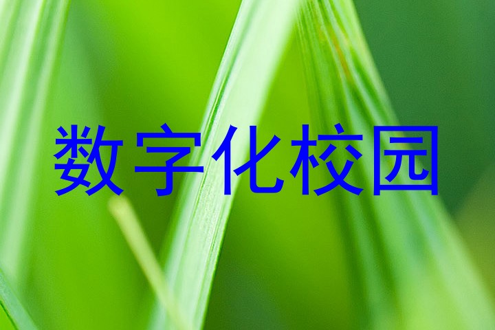 数字化校园