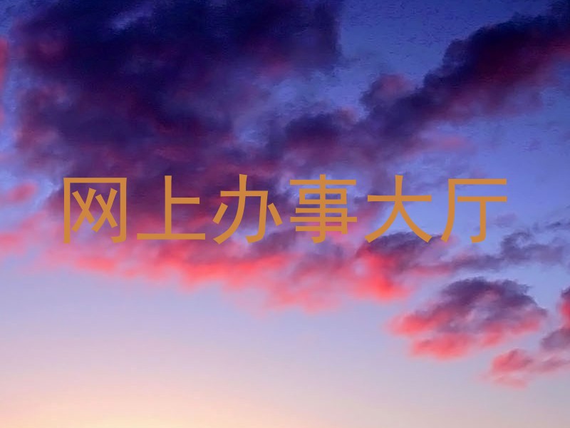 网上办事大厅