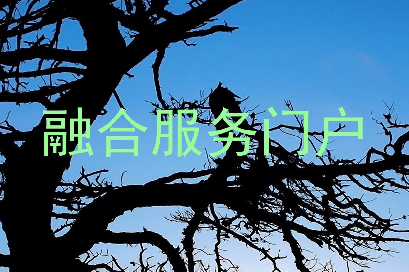 融合服务门户