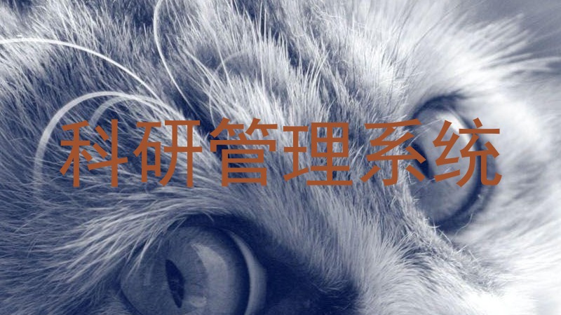科研管理系统