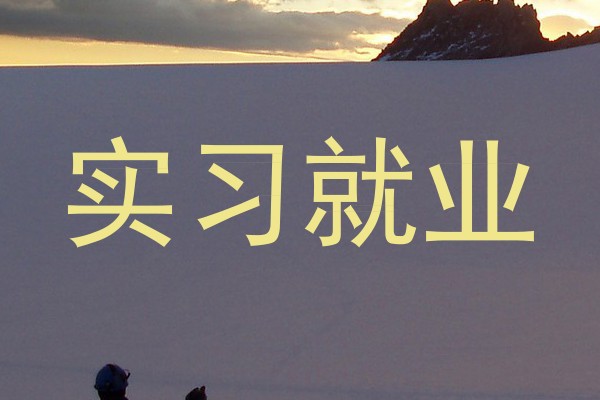 实习就业