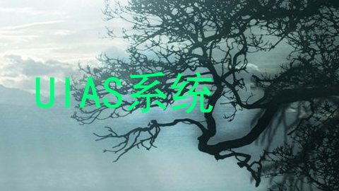 UIAS系统