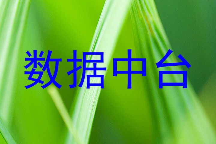 数据中台