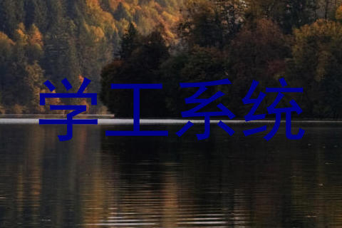学工系统
