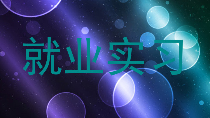 就业实习