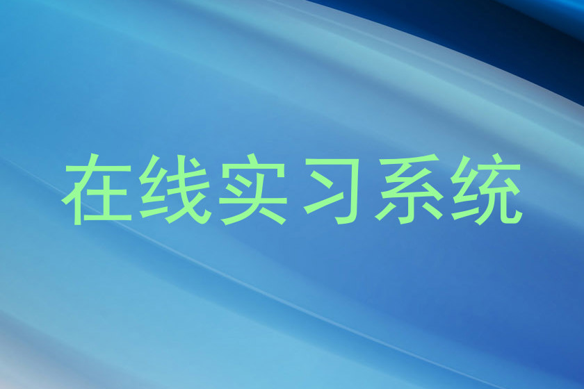 在线实习系统