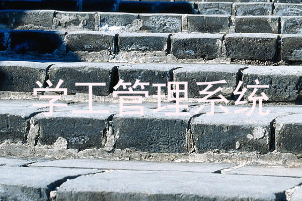 学工管理系统