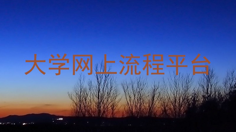 大学网上流程平台