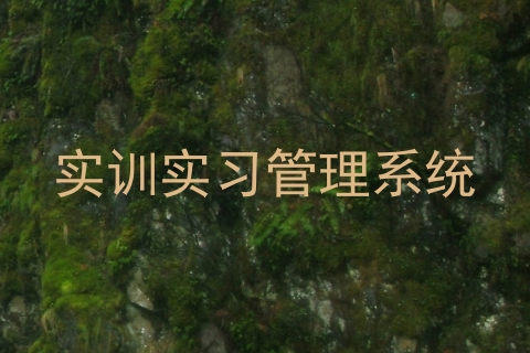 实训实习管理系统
