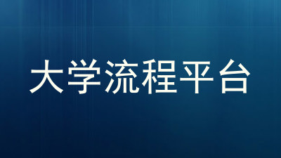大学流程平台
