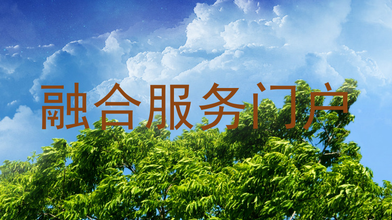 融合服务门户
