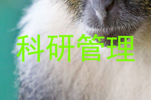 科研管理