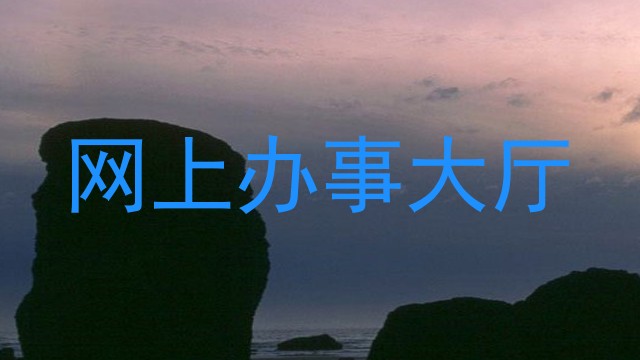网上办事大厅