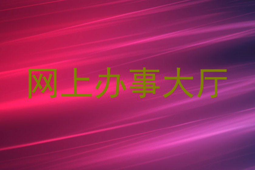 网上办事大厅