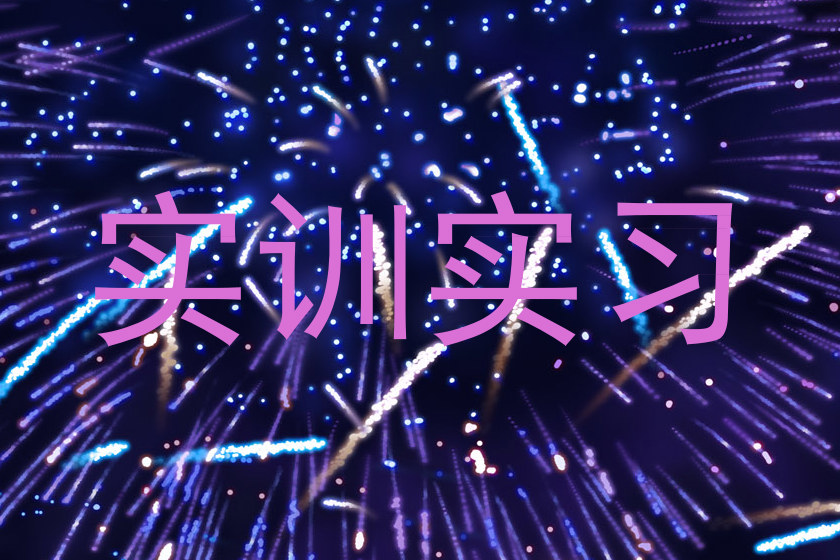 实训实习