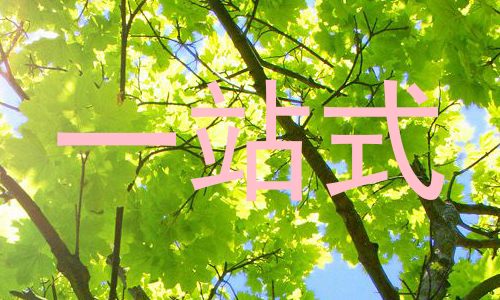 一站式
