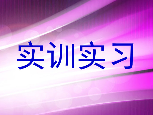 实训实习