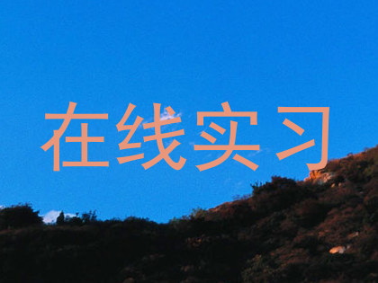 在线实习