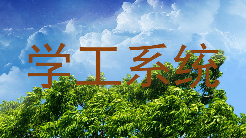 学工系统