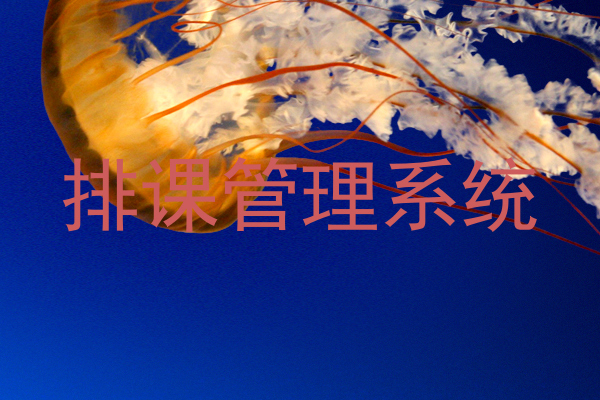 排课管理系统