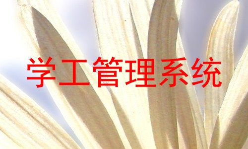 学工管理系统